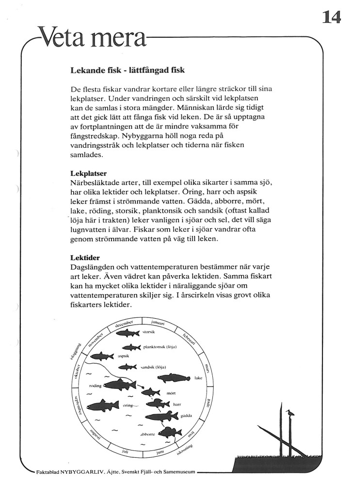 Lekande fisk - lättfångad fisk