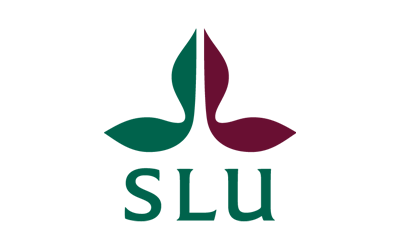 SLU